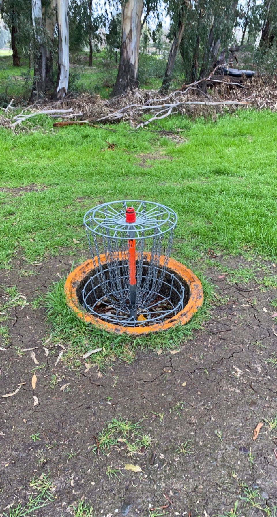 Hole 17 basket