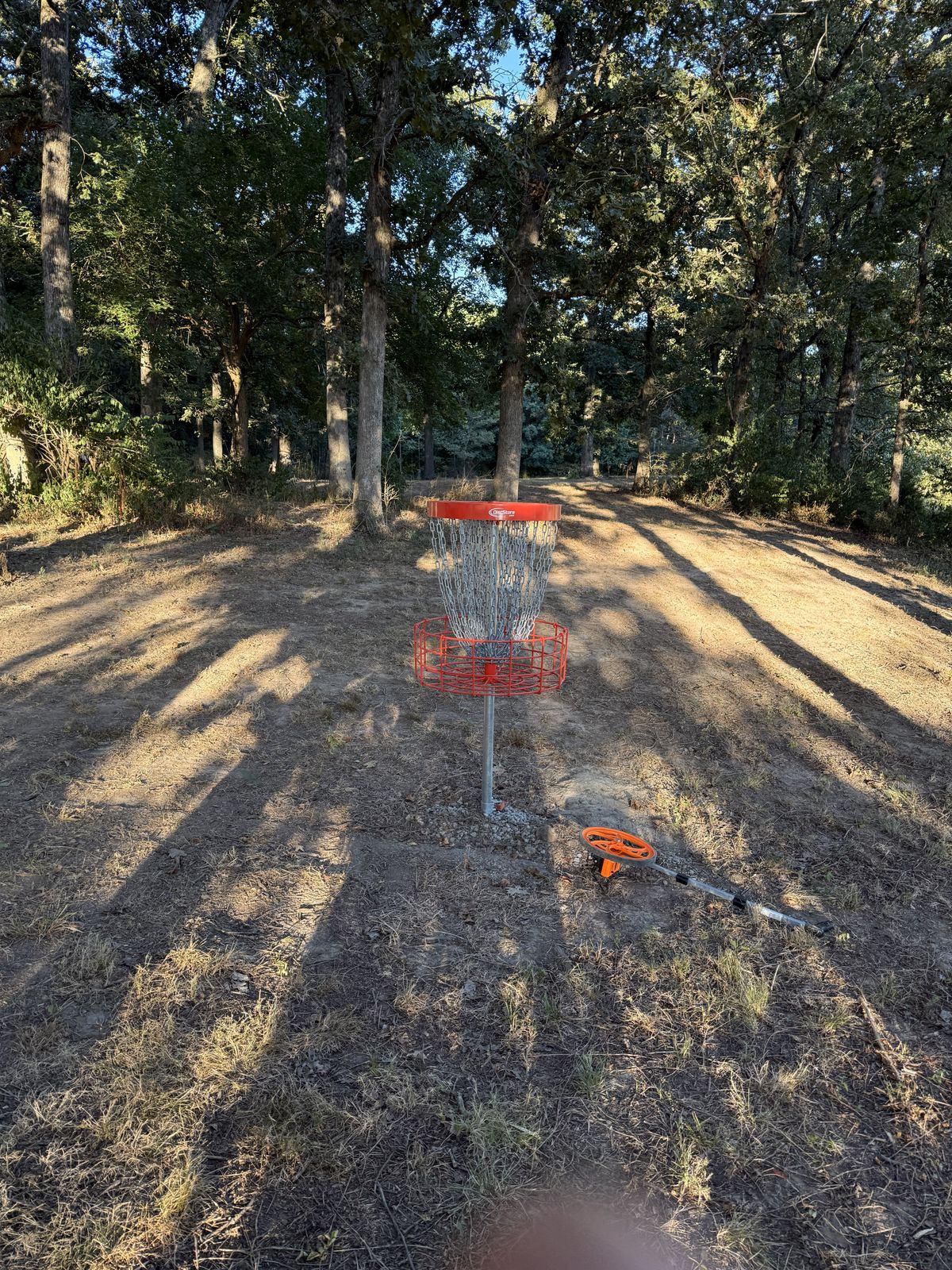Hole 5 Basket