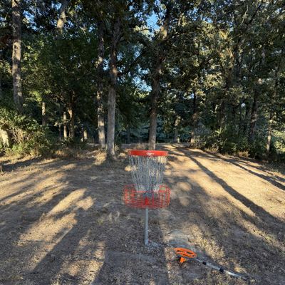 Hole 5 Basket