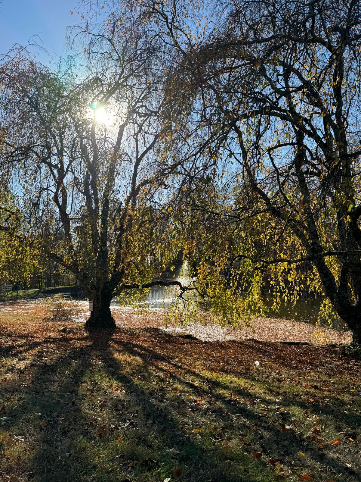 Lovely Lake Setting