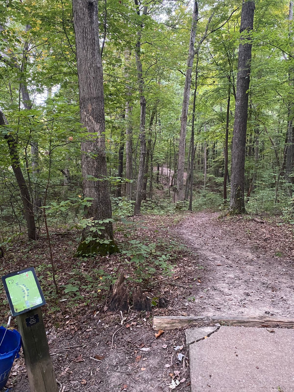 Hole 12