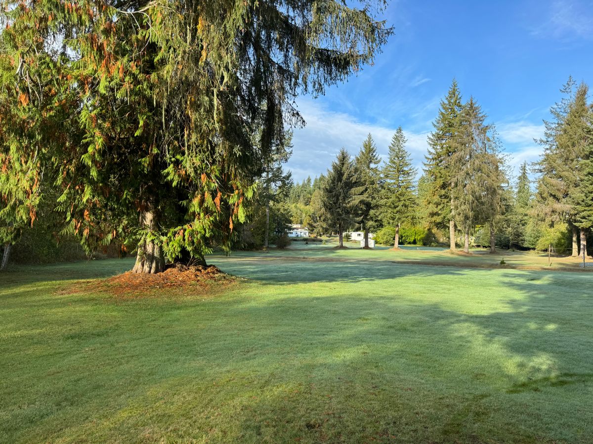 Fairway Hole 5