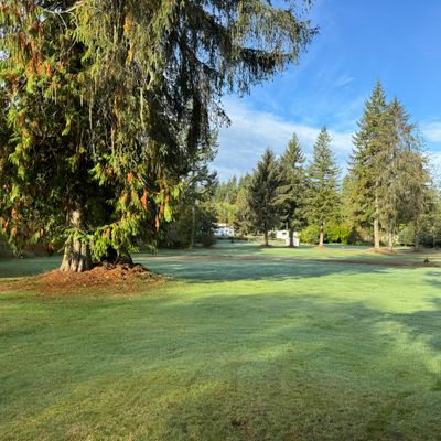 Fairway Hole 5
