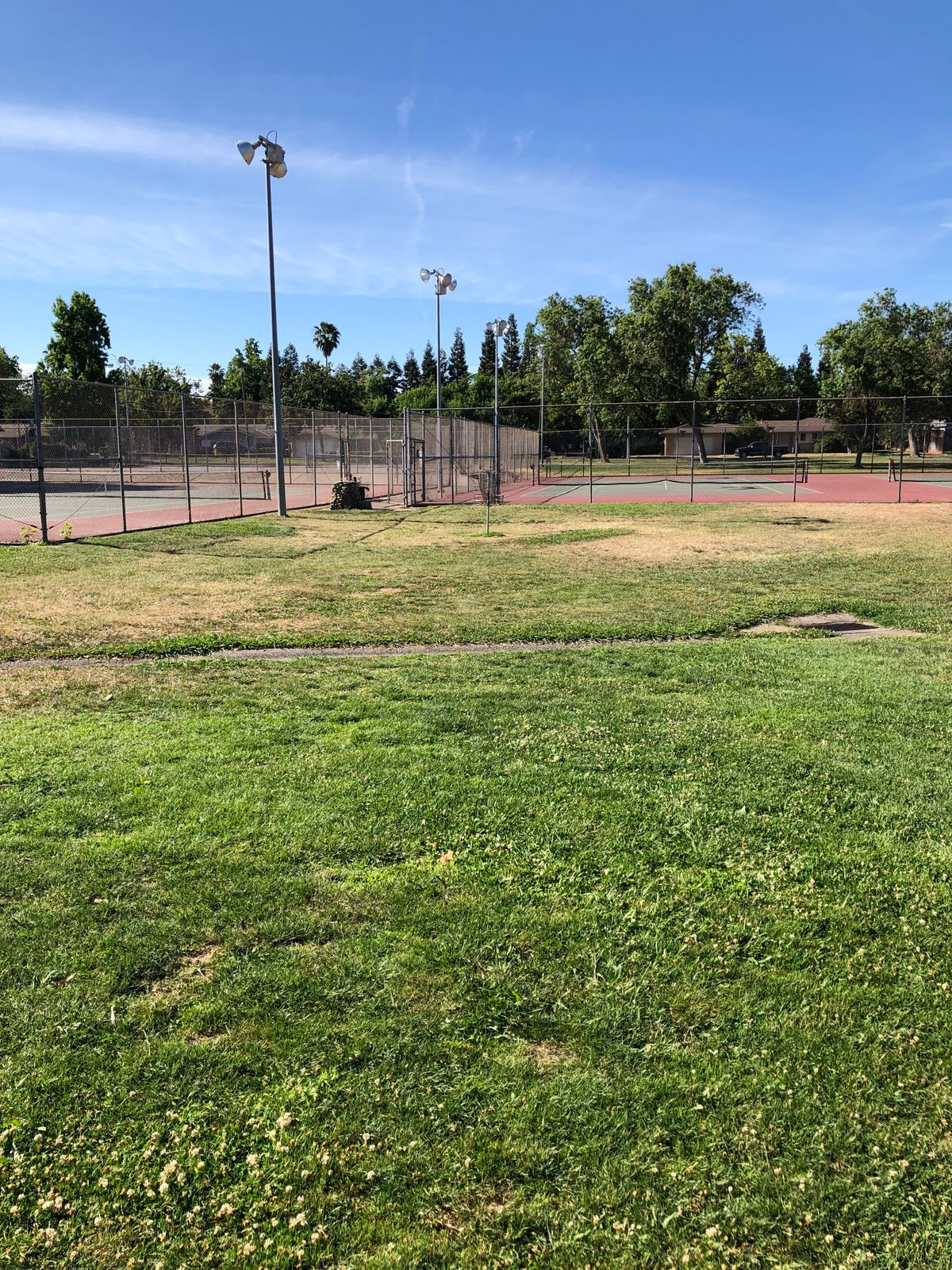 Hole 6 tee look to basket.