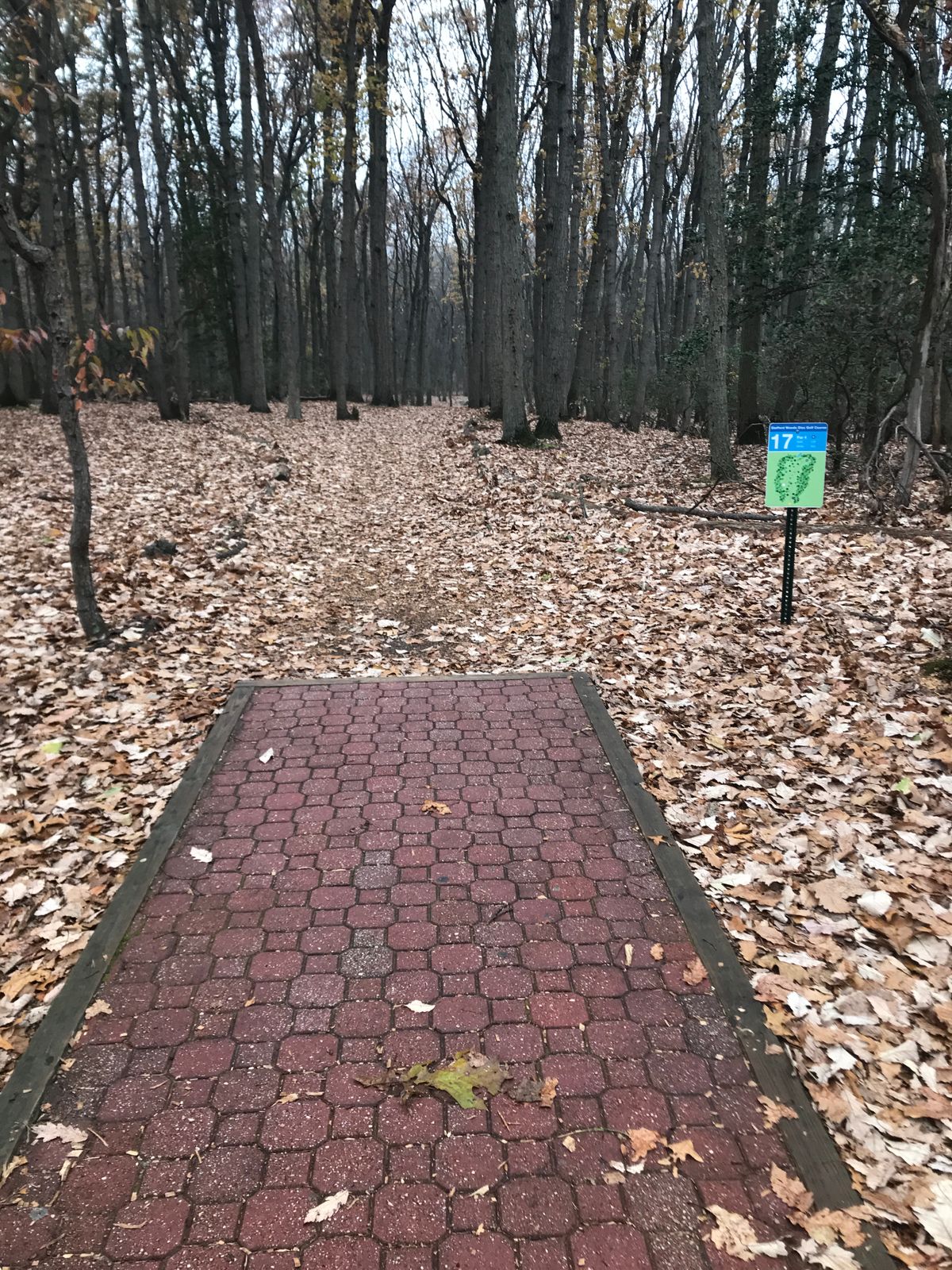Hole 17 long tee