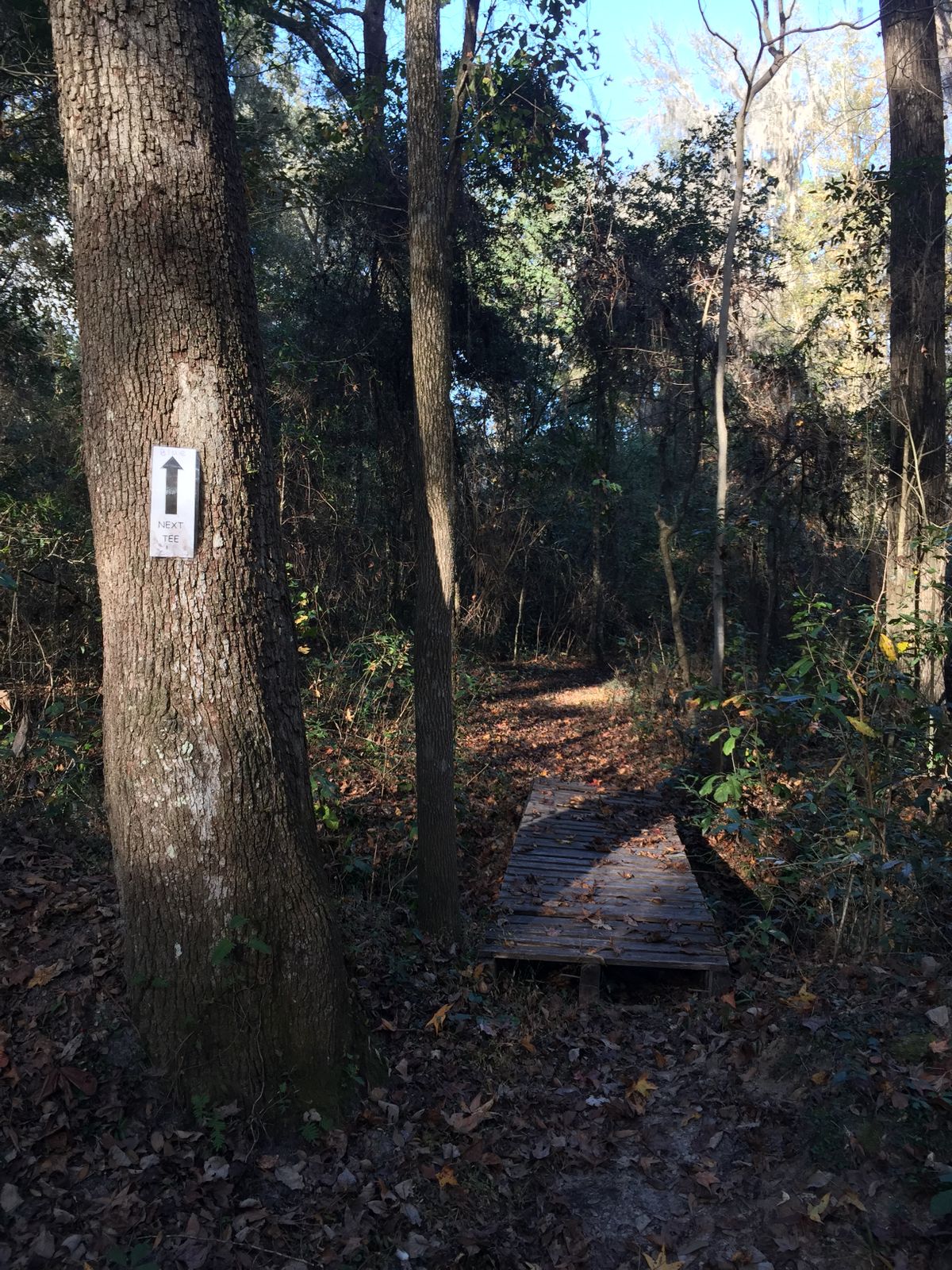 Hole 16