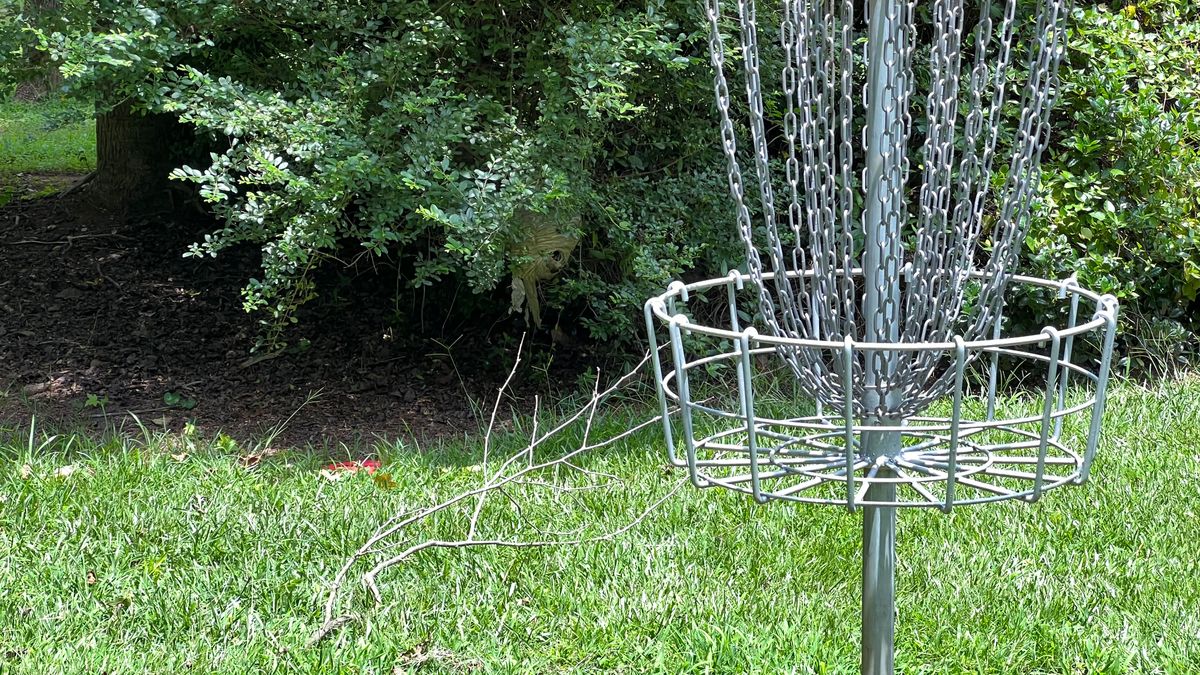 Hole 3, Hornets nest