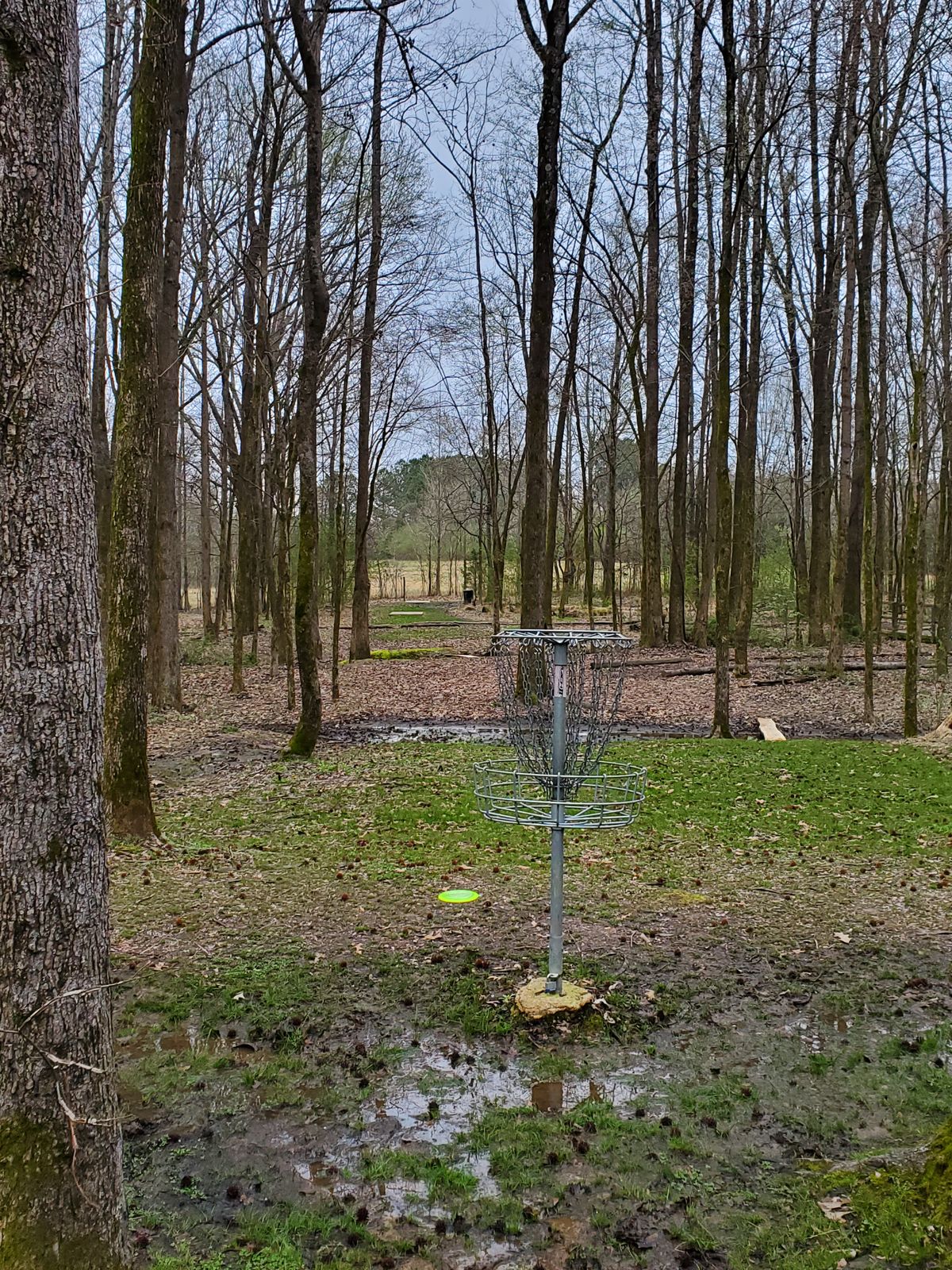 Hole #6