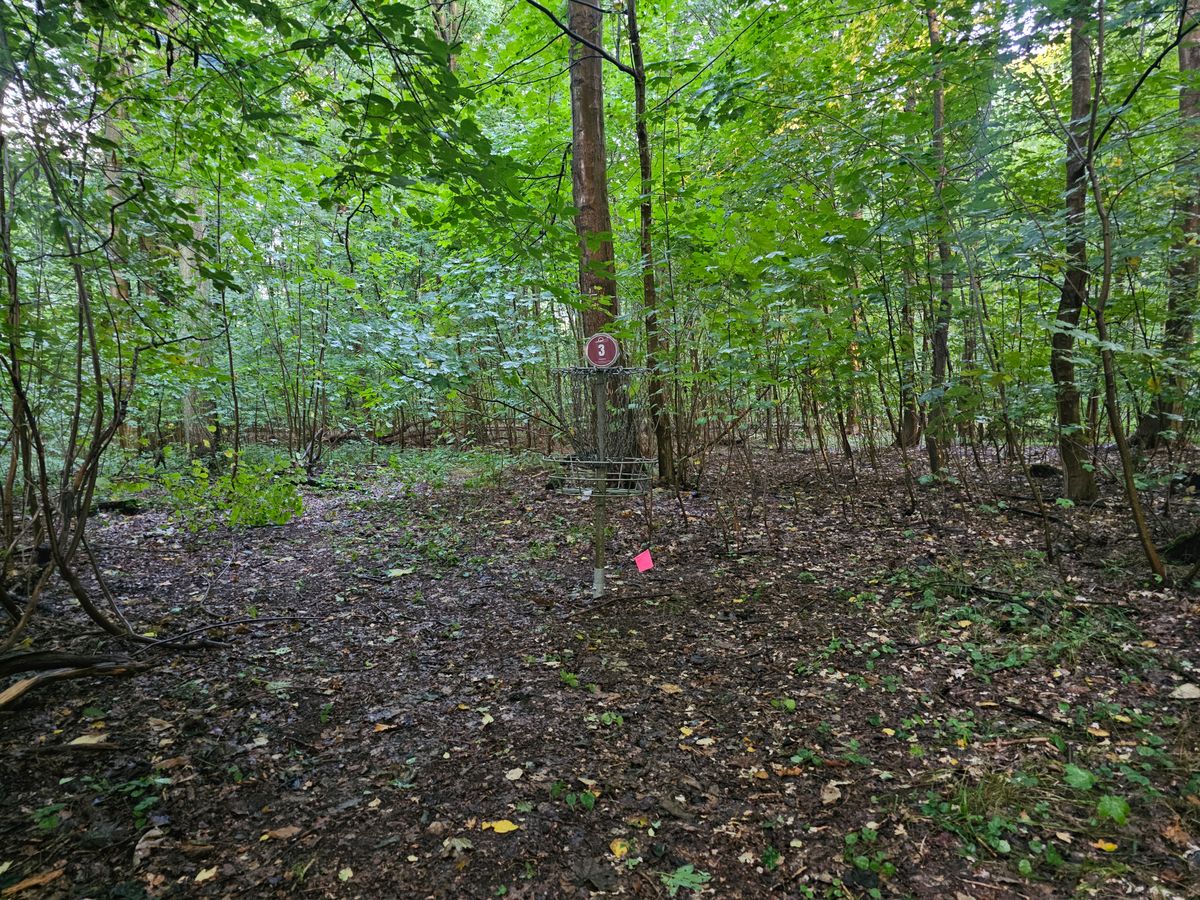Hole 3a