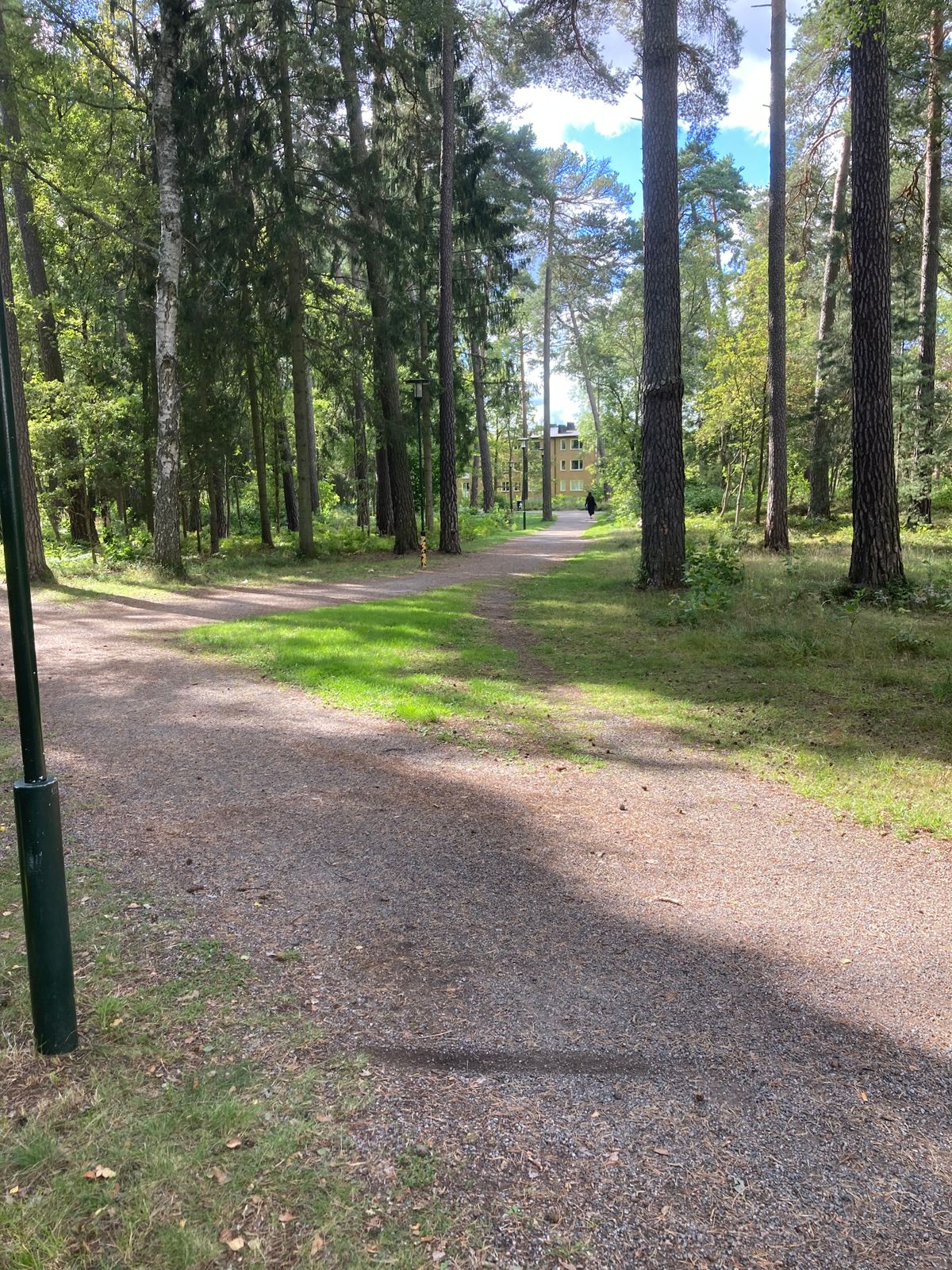 Tee 3