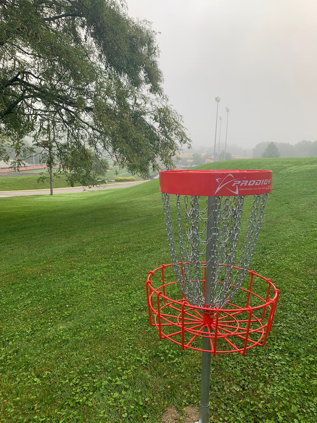 Hole #5 Basket to fairway