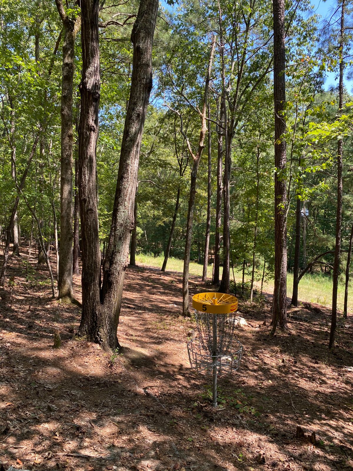 Looking down on 5’s Pin (9/7/20)