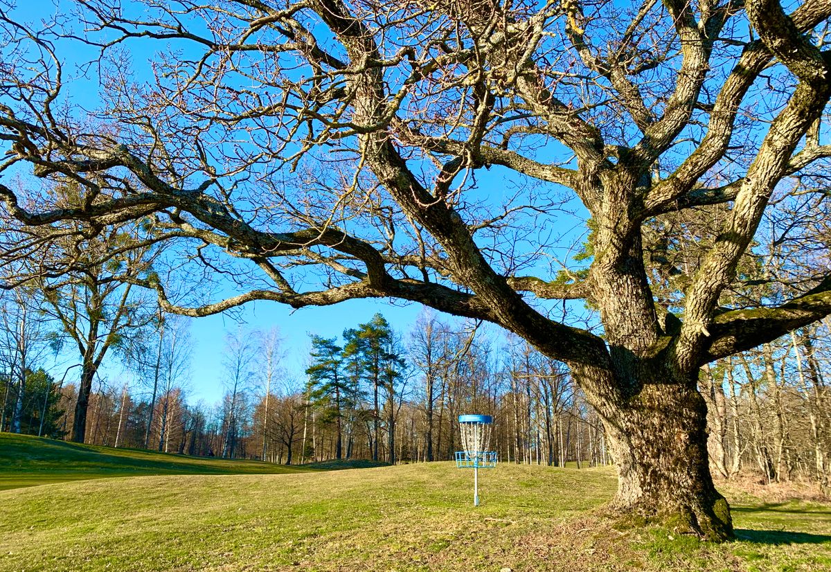 Hole 17