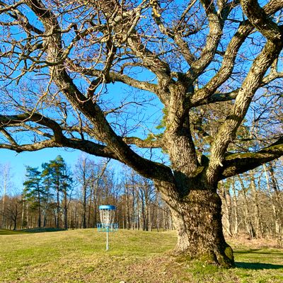 Hole 17