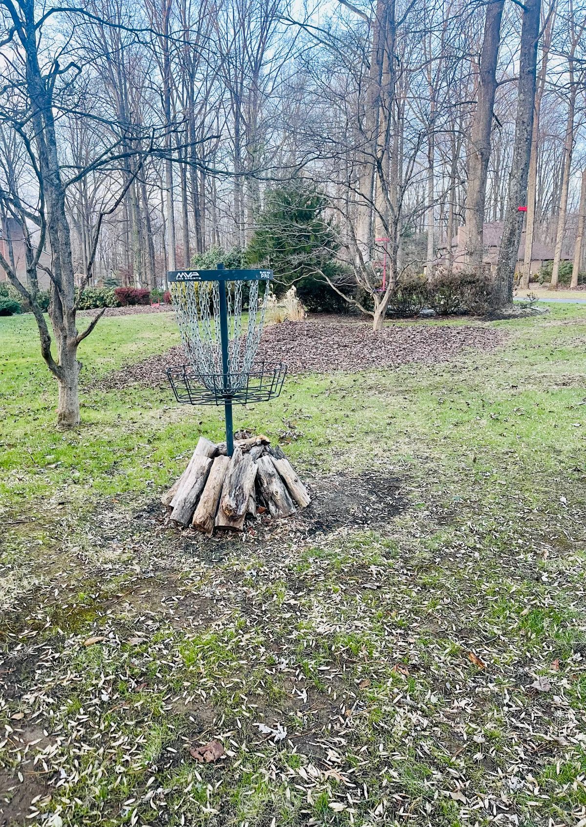 Hole 3/17 Basket