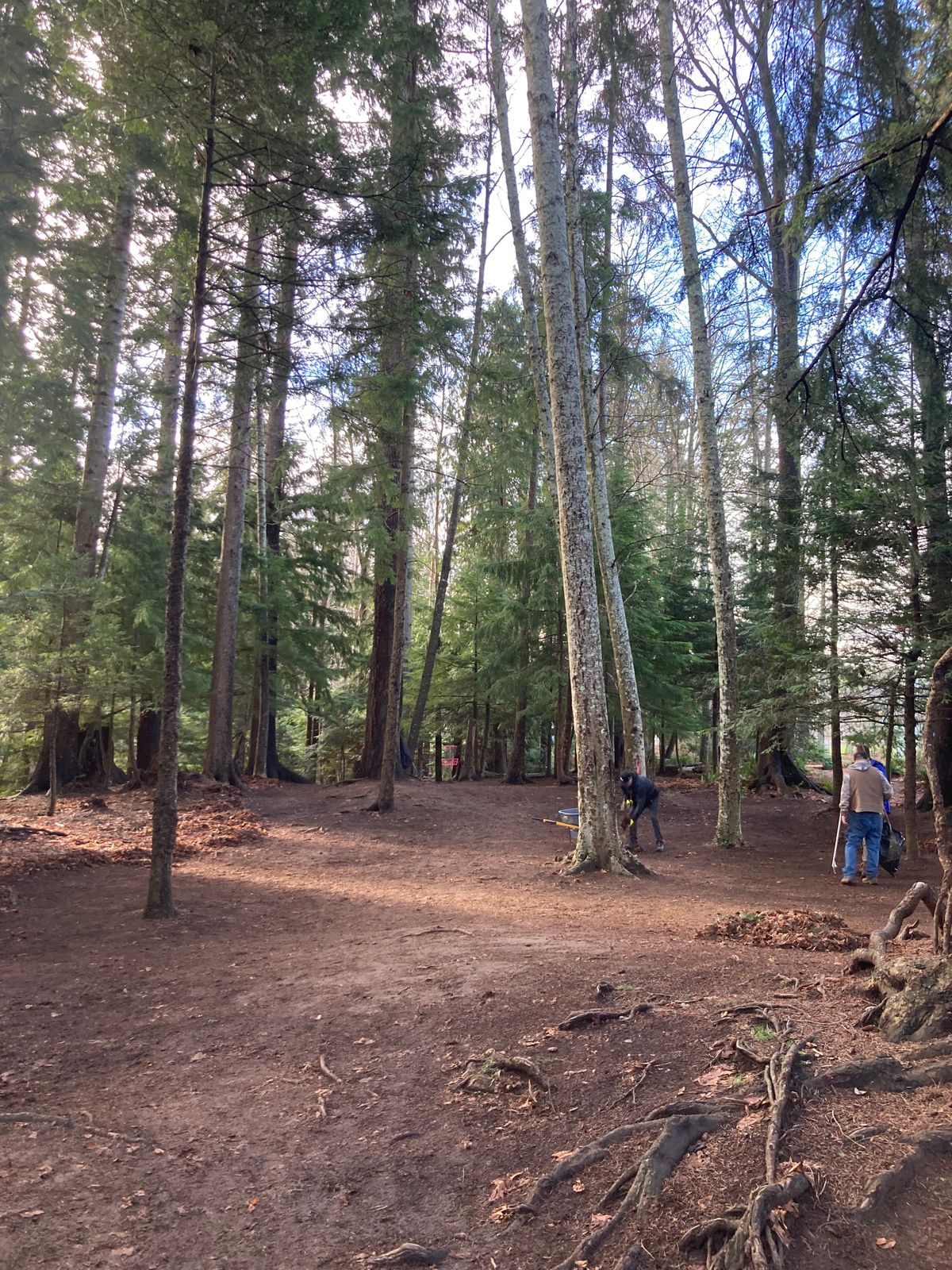 Hole 12 Fairway
