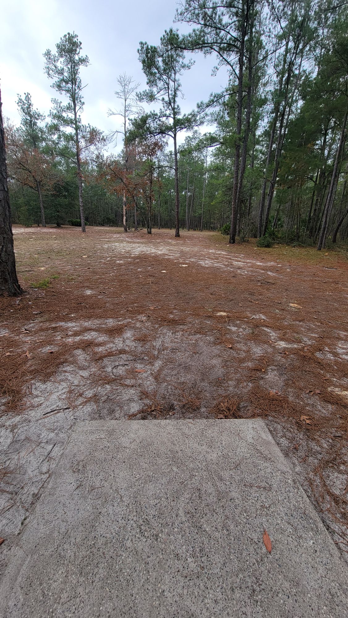 #5 Tee (only pad)