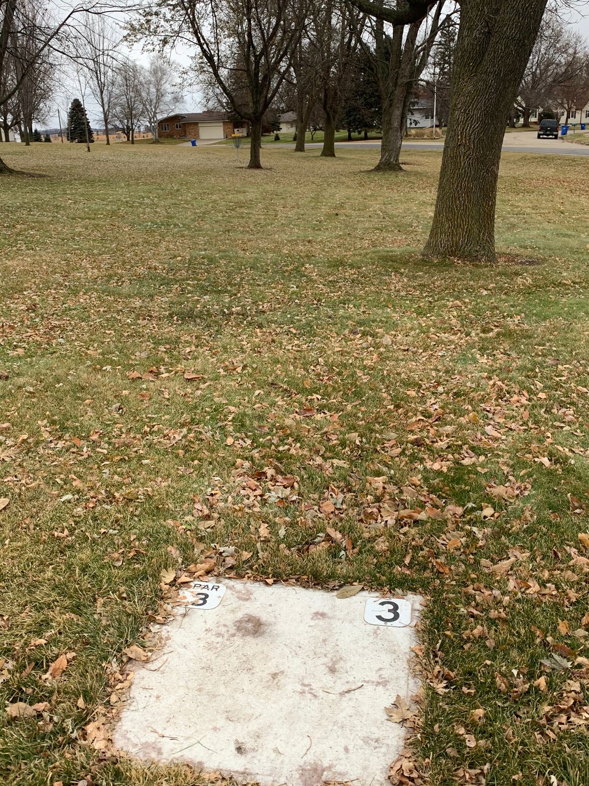 Tee #3