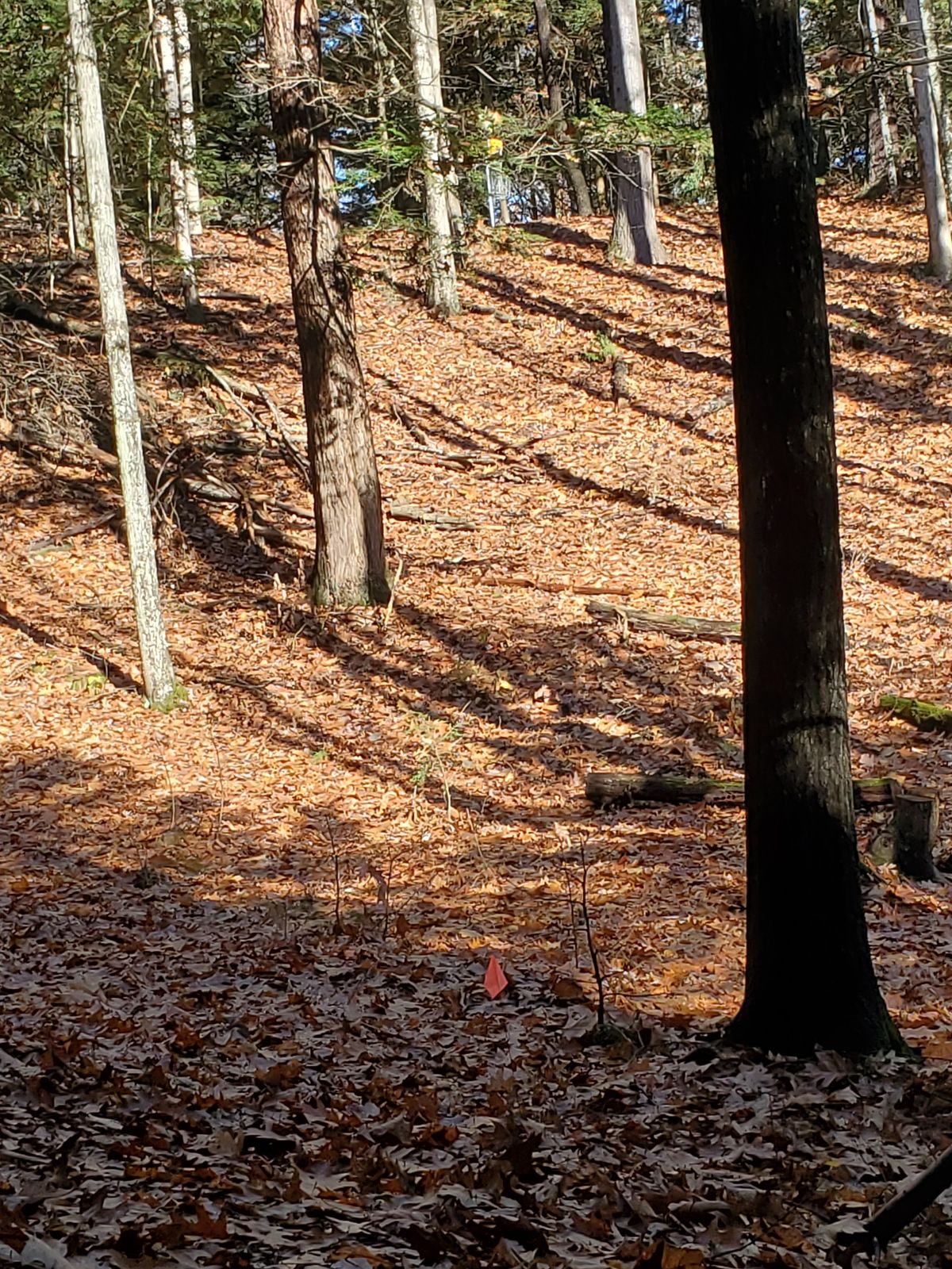 Hole 5