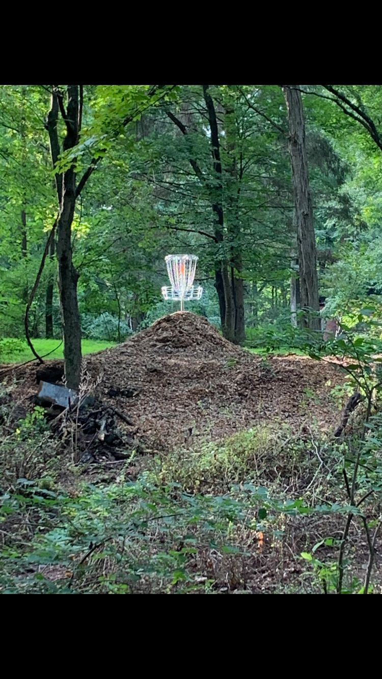 New hole 15 basket gleaming