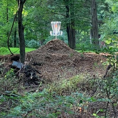 New hole 15 basket gleaming