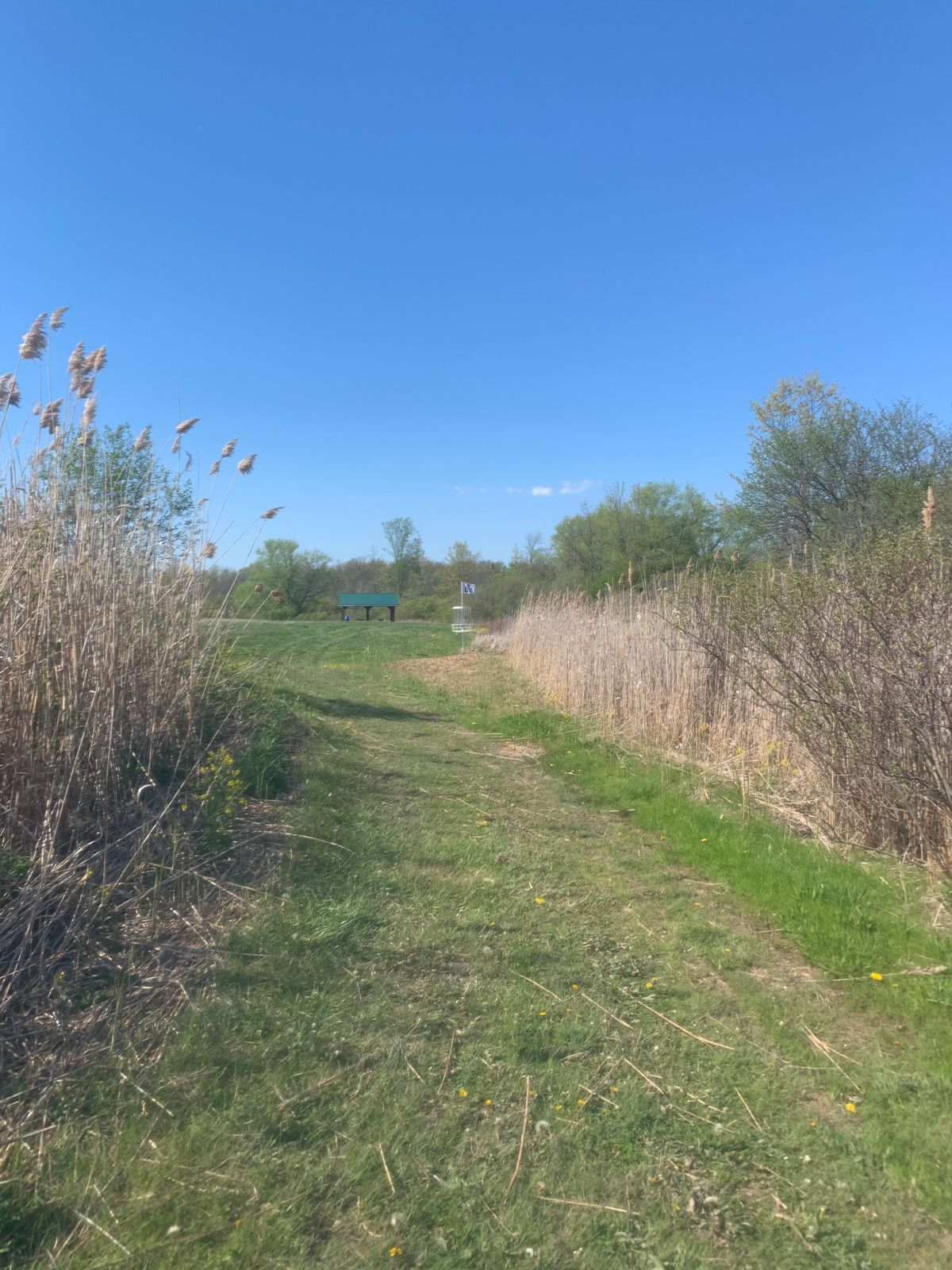 Hole 3 basket
