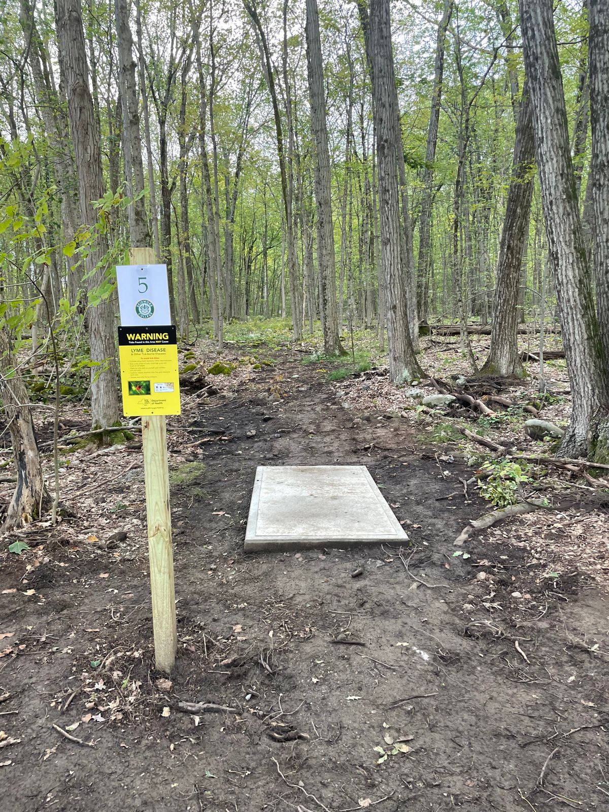 Hole 5 Tee