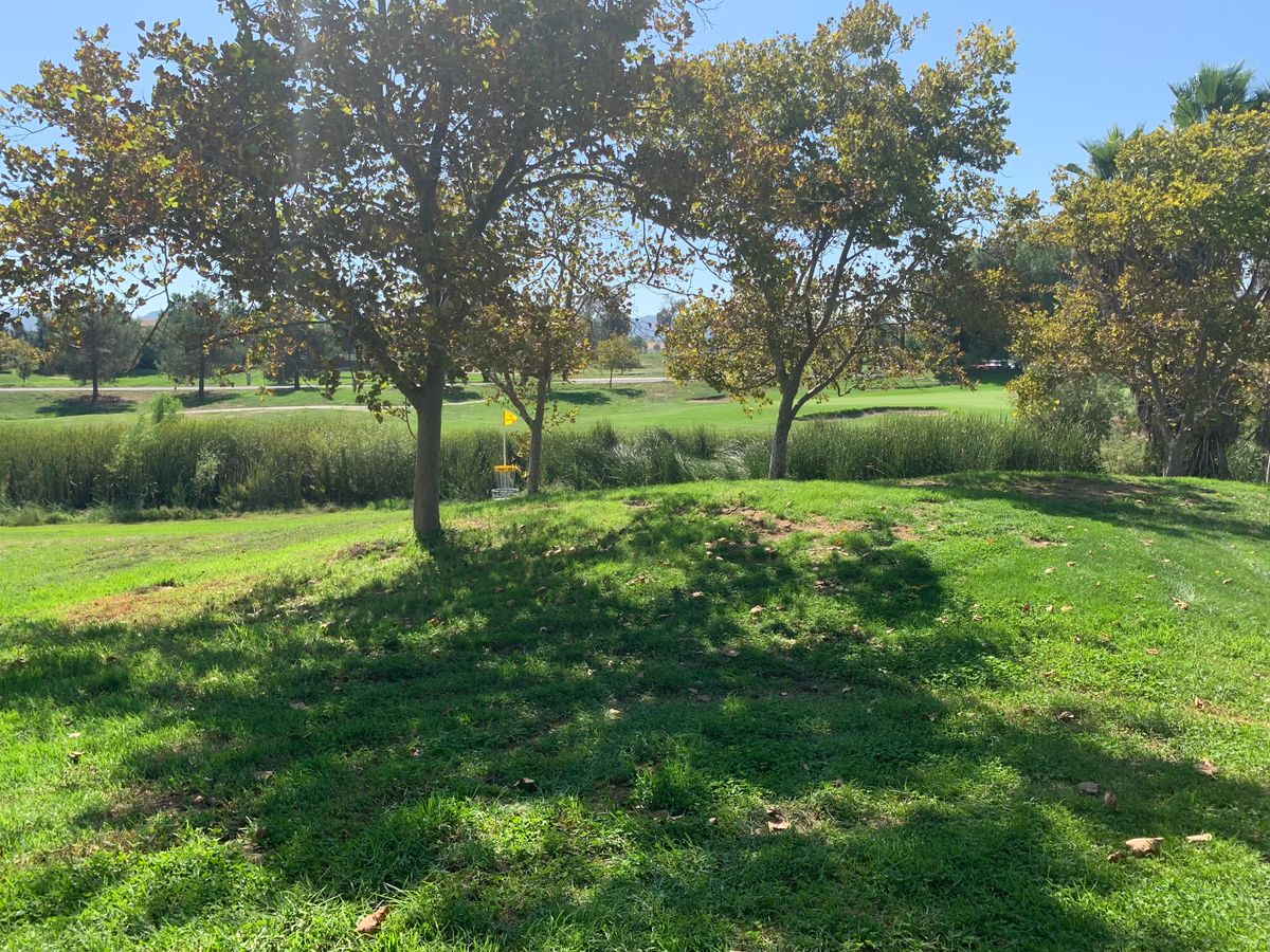 Alpha Hole 17