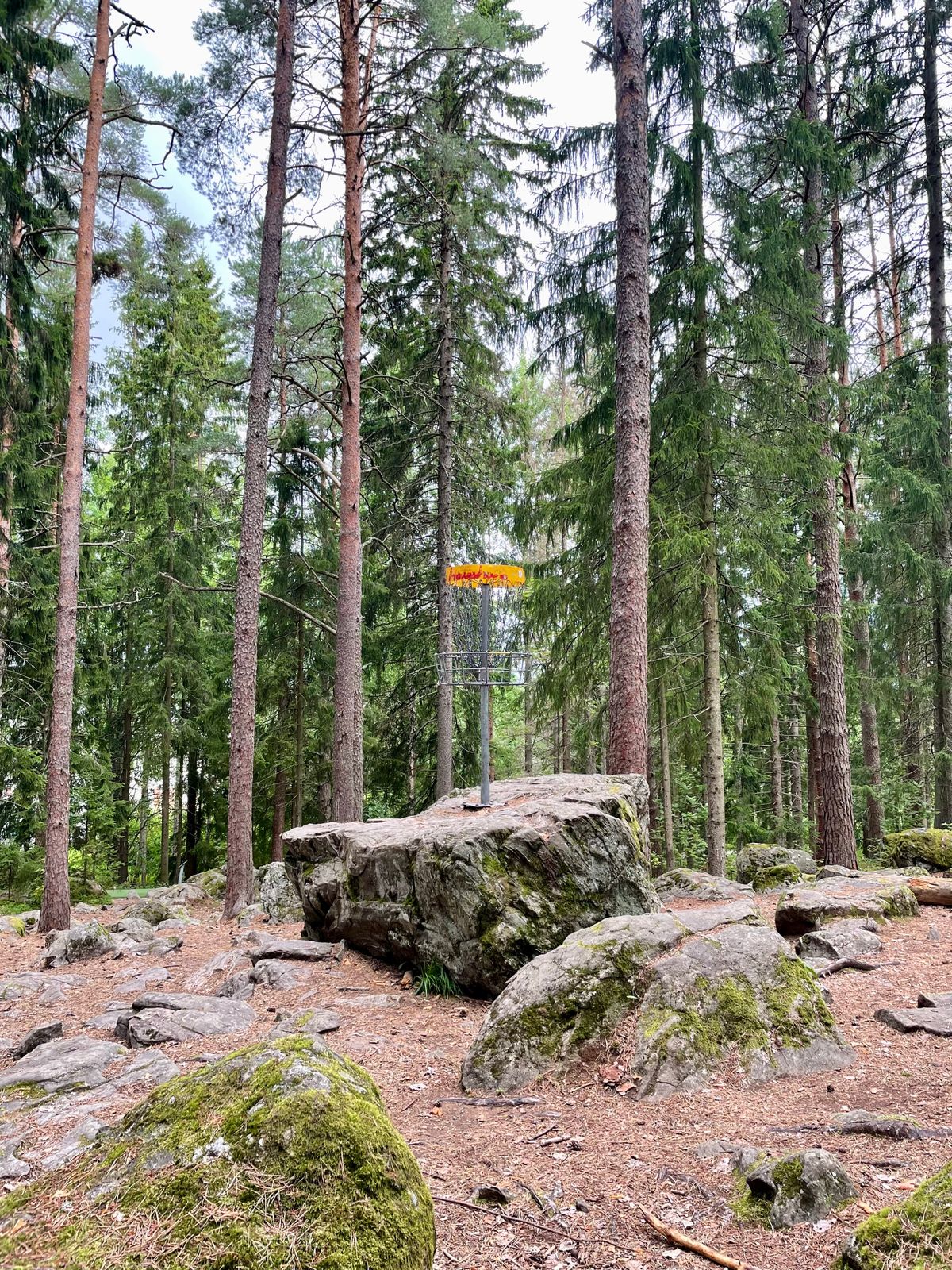 Väylä 8