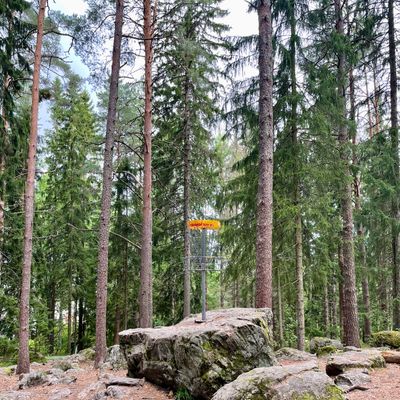 Väylä 8
