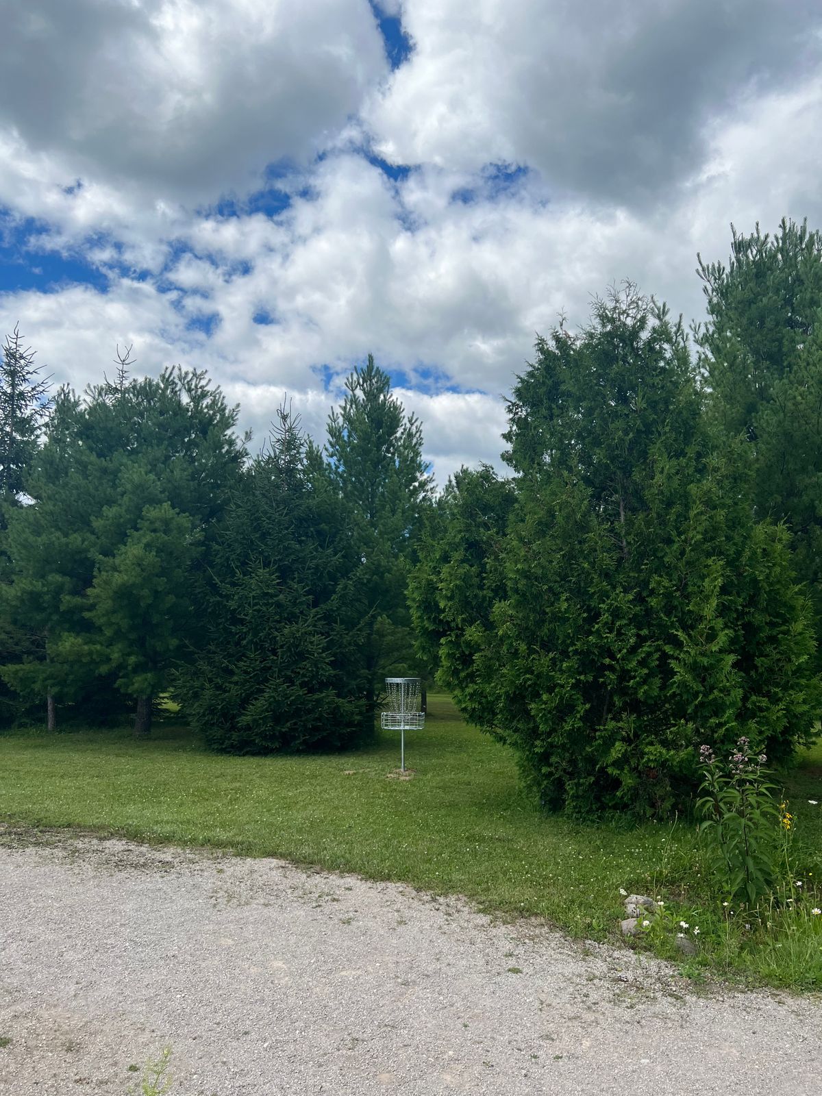 Basket Hole 8