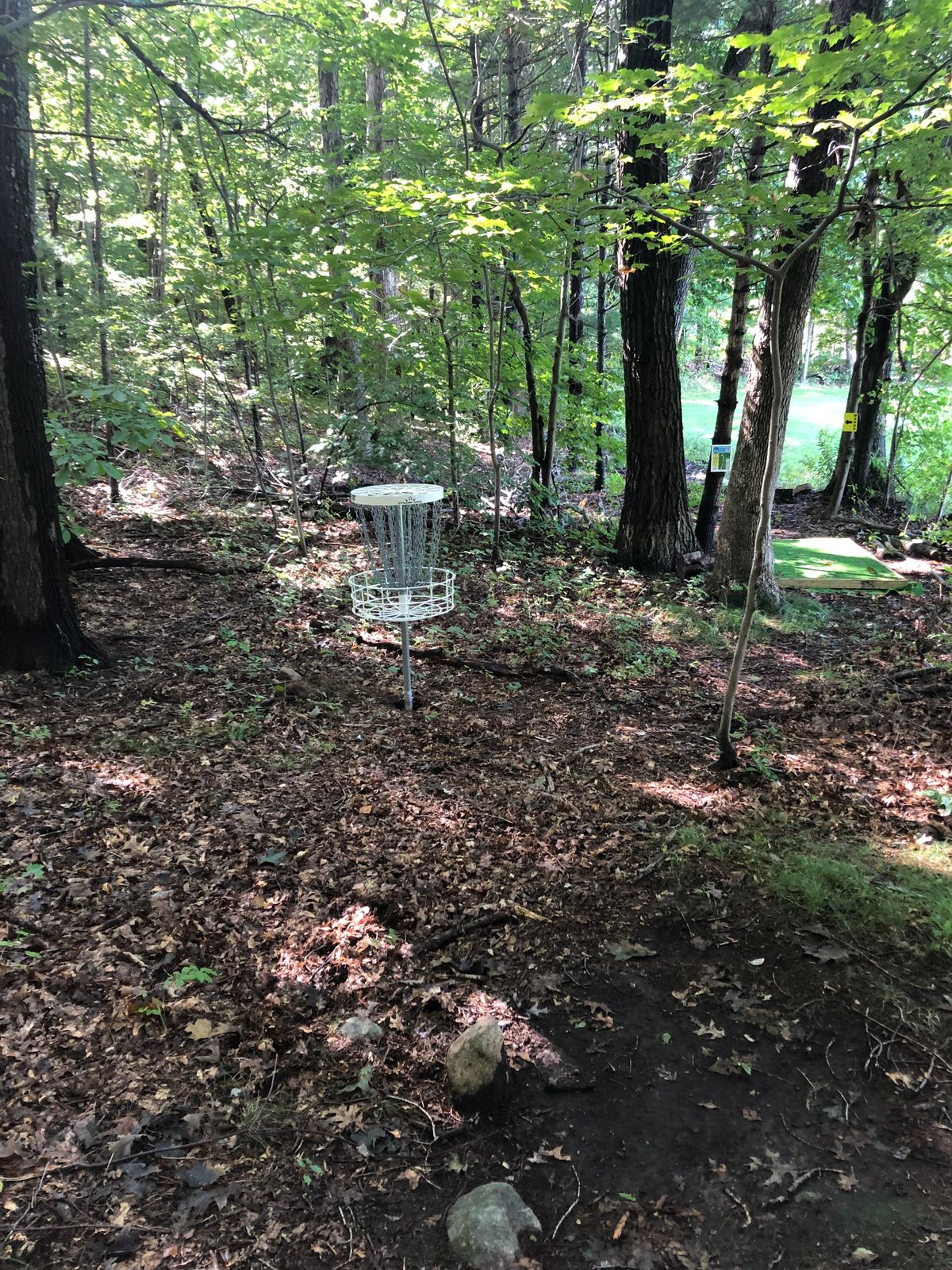Hole 6 basket