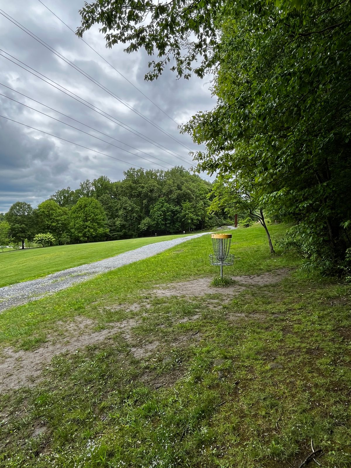Hole 7 yellow green