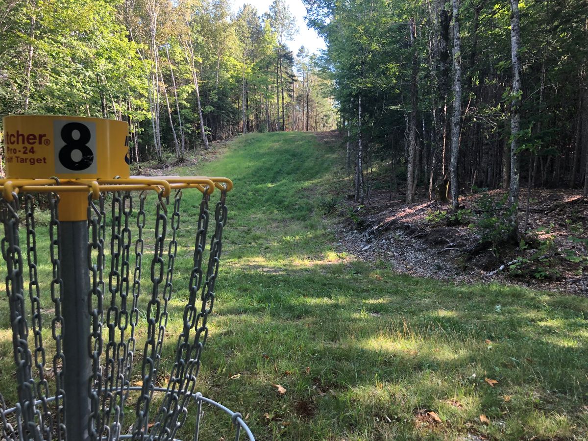 Hole #8 Basket