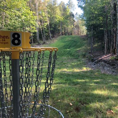 Hole #8 Basket