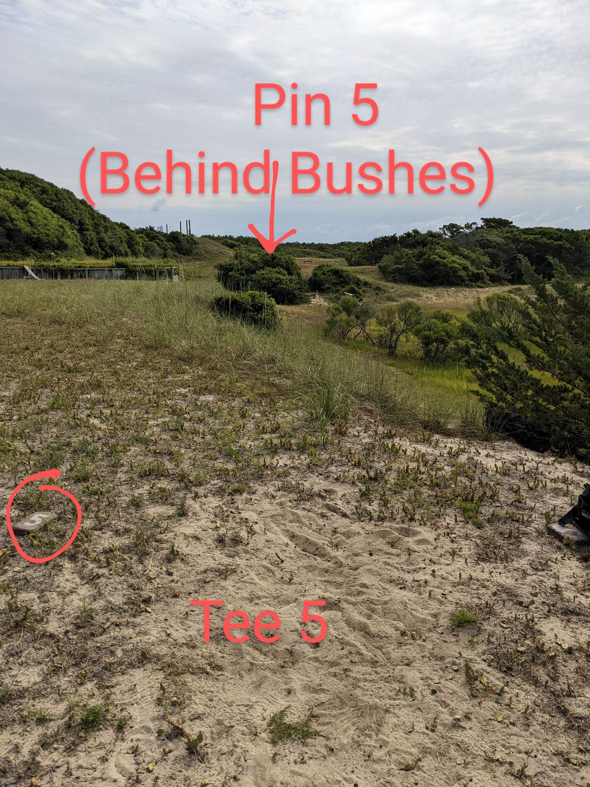 Again, avoid the bushes