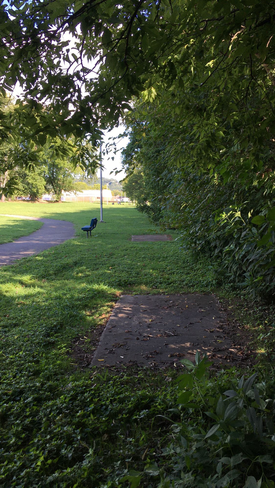 Hole 7 - Pad - Main (Long)