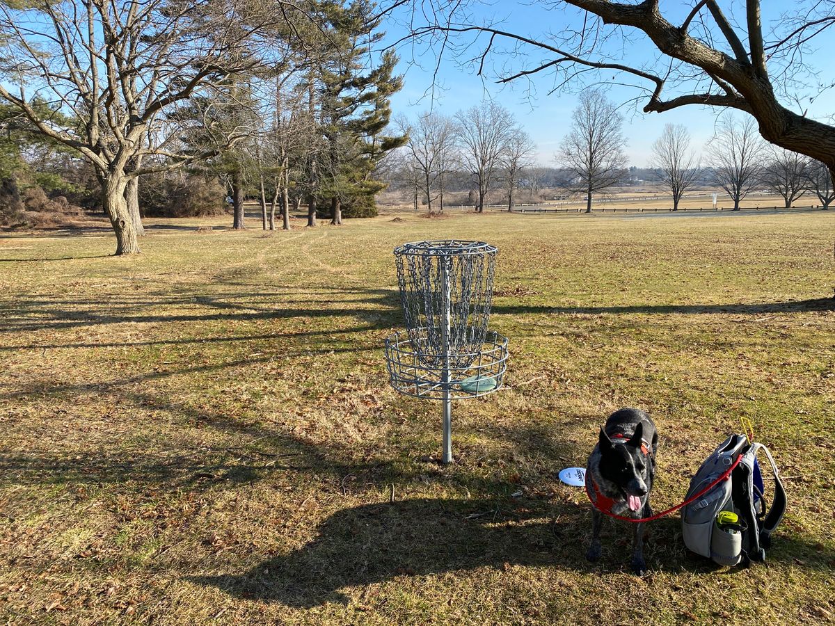 Original 14th basket, now #6 for both layouts, and again #14 for "18 on 10" if traffic allows.