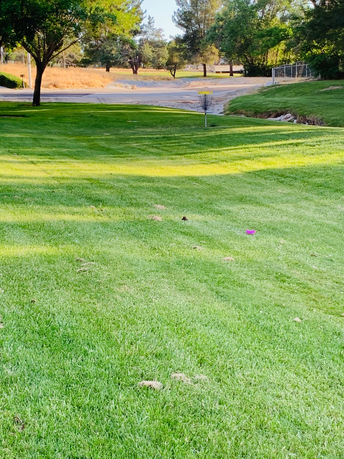 Fresh mowed