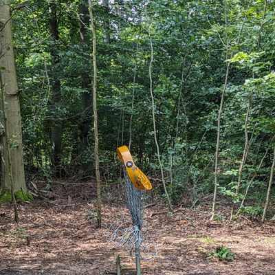 hat schon bessere Tage gesehen..