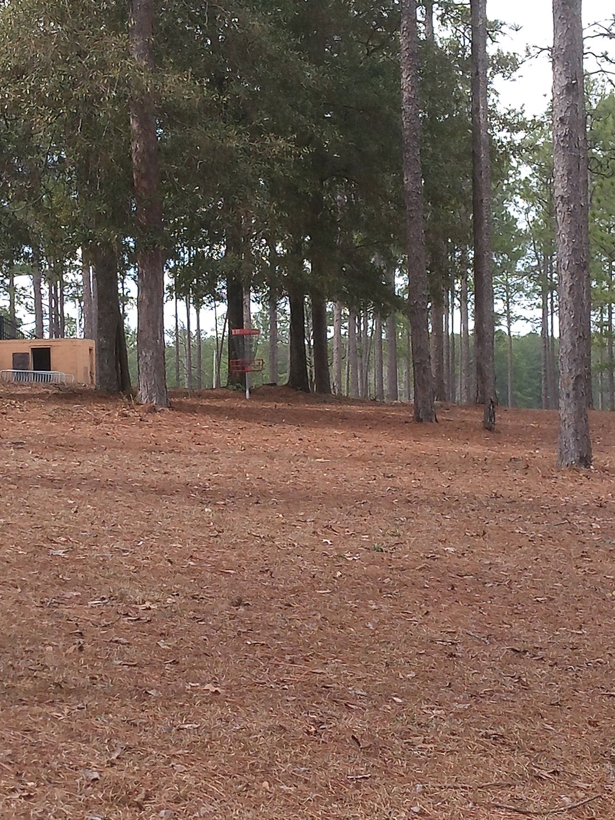 15 basket Tee area behind camera