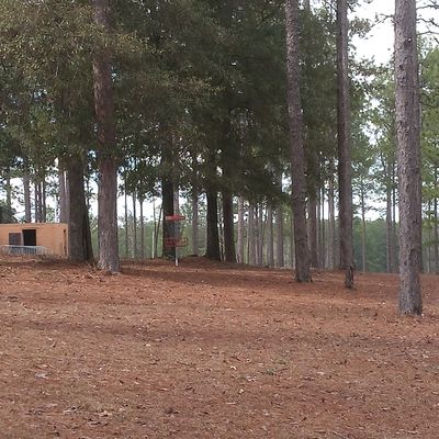 15 basket Tee area behind camera