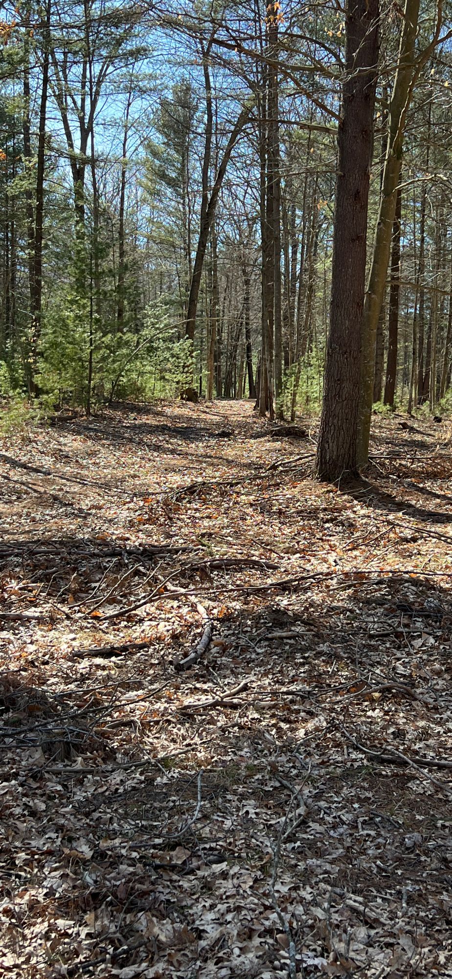 15 Landing Zone to pin
