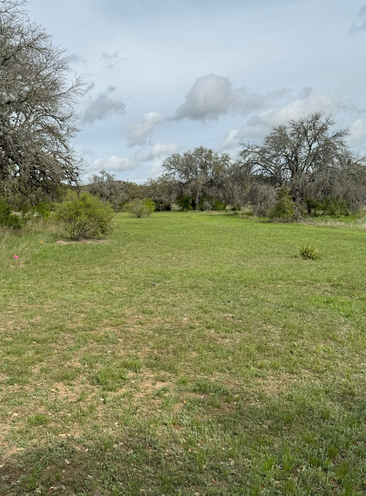 Fairway after turn.