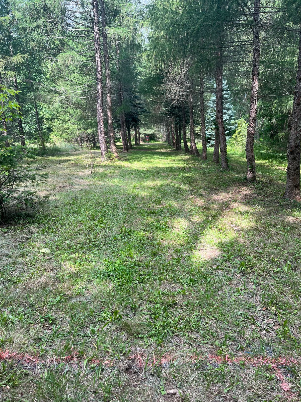 Hole #4 Red Tee