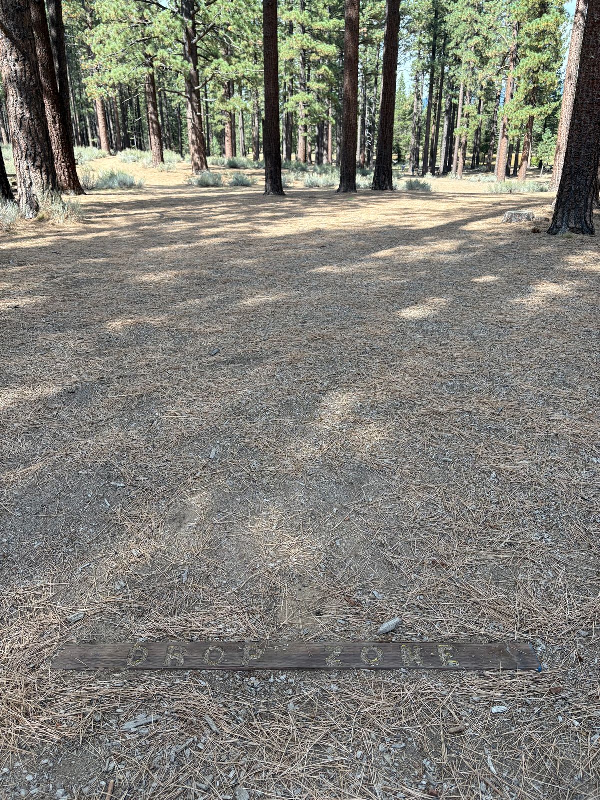 Hole 10 -drop zone