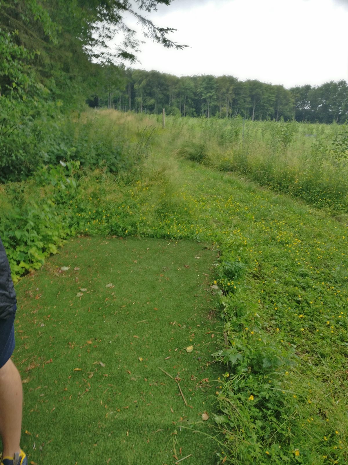 Hole 12