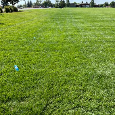 Hole 3 tee