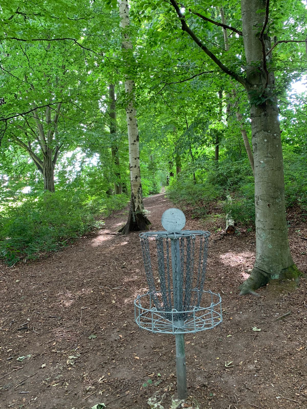 Hole 4 from basket
