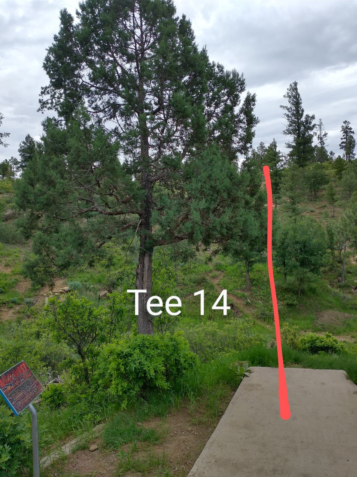 Tee 14, over large ravine and up a steep hill.
